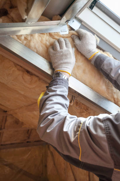 Best Geographic-Specific Insulation Services in Fruit Hill, OH