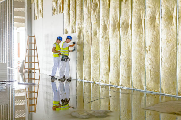 Best Blown-in Insulation in Fruit Hill, OH